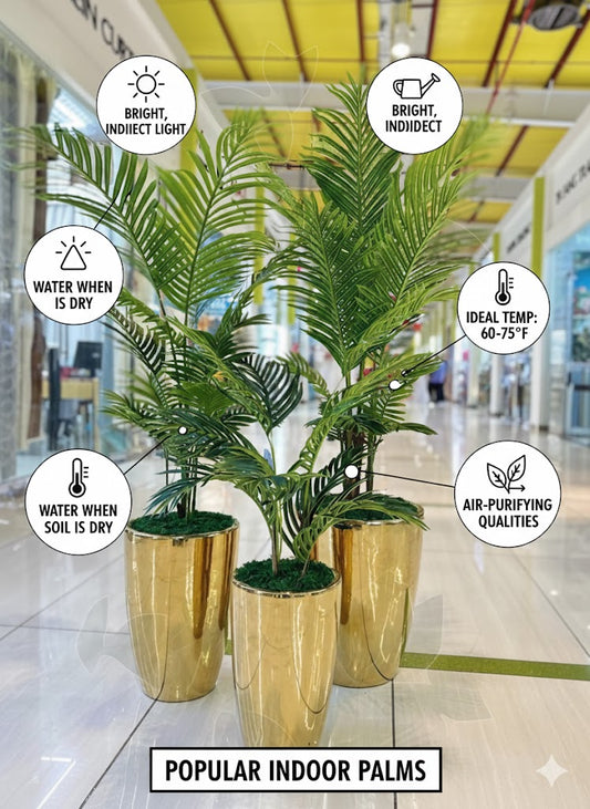 Three indoor palm plants in gold pots with care instructions on a blurred indoor background.