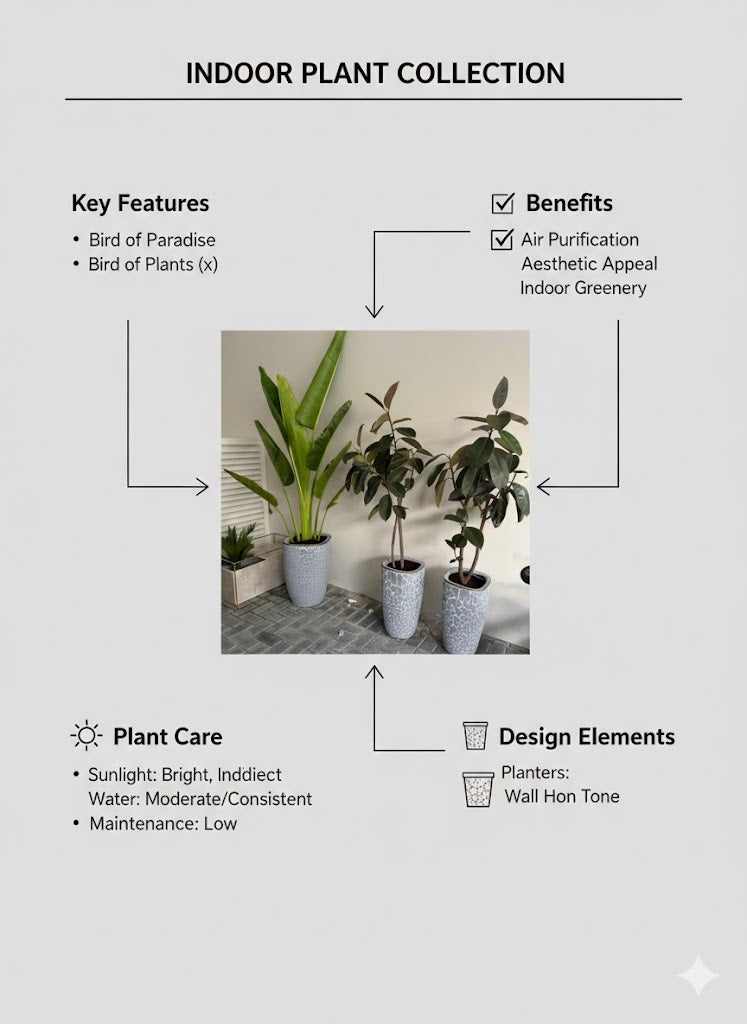 🌿 Premium Indoor Plant Set – Rubber Plants & Traveler Palm in Designer Pots