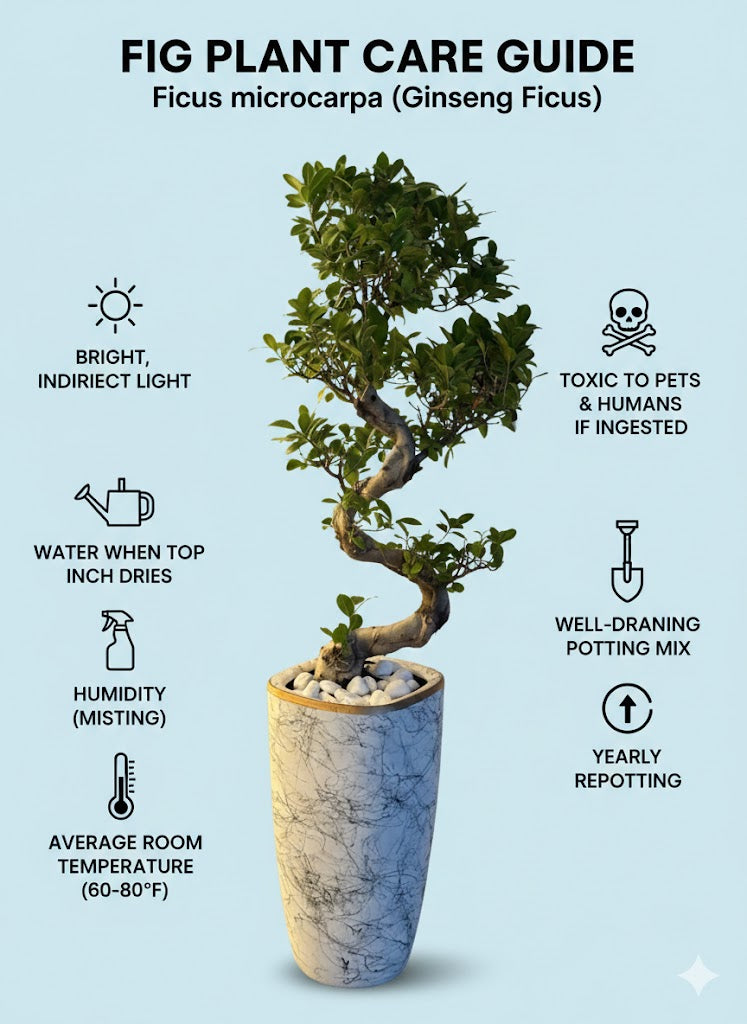 🌿Luxury Twisted Bonsai Tree in Marble-Finish Floor Planter