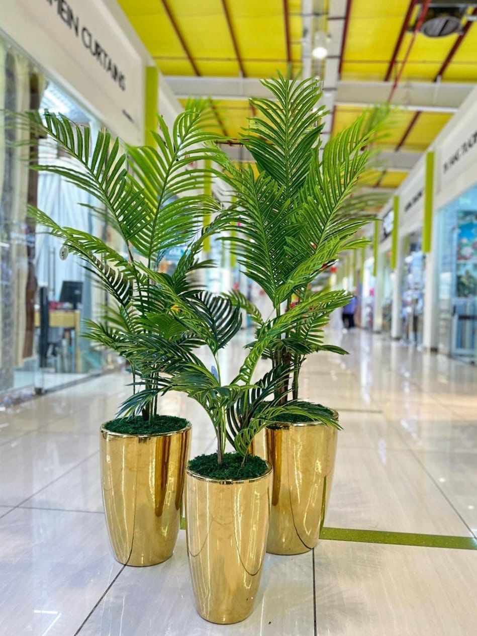 Decorative plants in gold pots on a shiny floor with a blurred background
