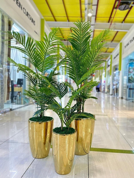 Decorative plants in gold pots on a shiny floor with a blurred background