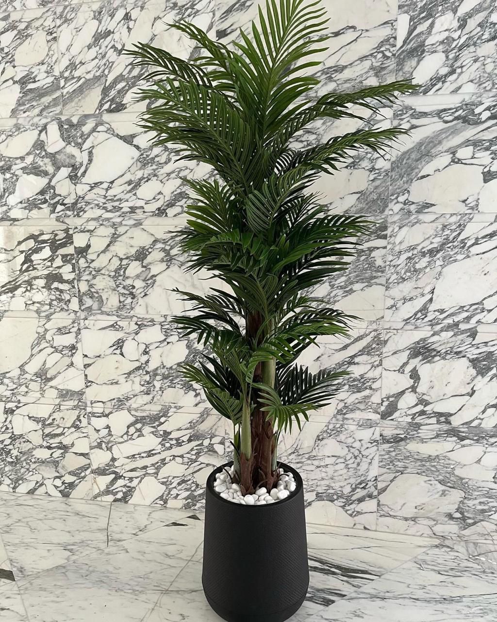 Potted plant in a black pot on a marble surface