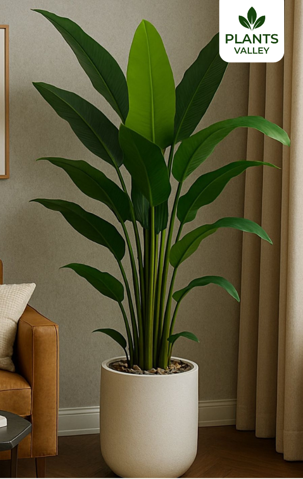 Artificial Birds of Paradise with Fiberclay Pot