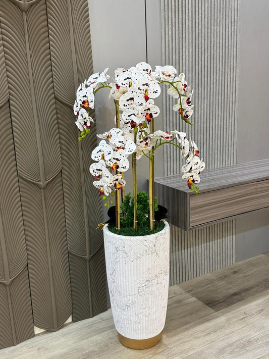 White orchid plant in a decorative pot on a wooden floor with a textured wall in the background.