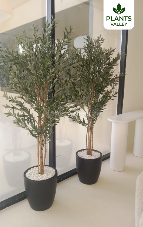 Artificial olive with pots and white stone