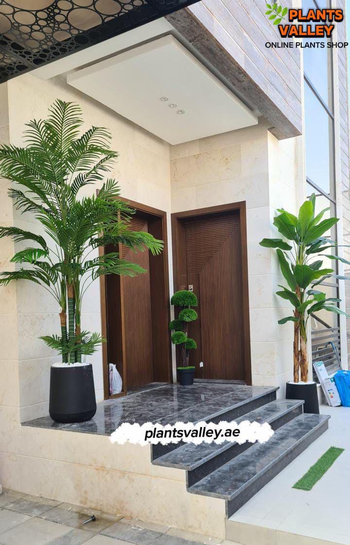 Decorative plants in pots on steps leading to a modern building entrance with 'Plants Valley' branding.