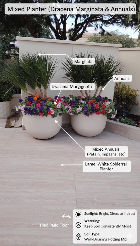 Potted plants with labels on a tiled patio floor