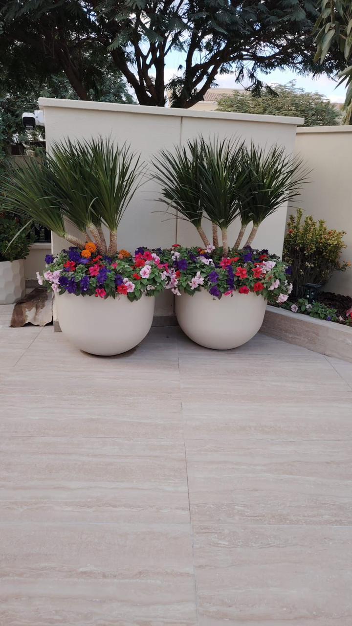Two potted plants with colorful flowers on a wooden deck.